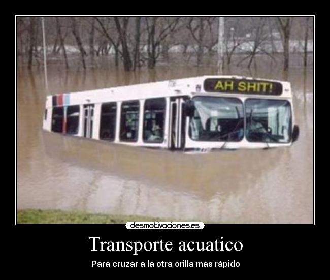 Transporte acuatico - Para cruzar a la otra orilla mas rápido