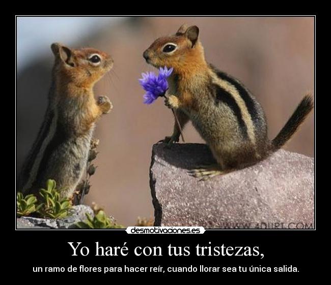 Yo haré con tus tristezas, - un ramo de flores para hacer reír, cuando llorar sea tu única salida.