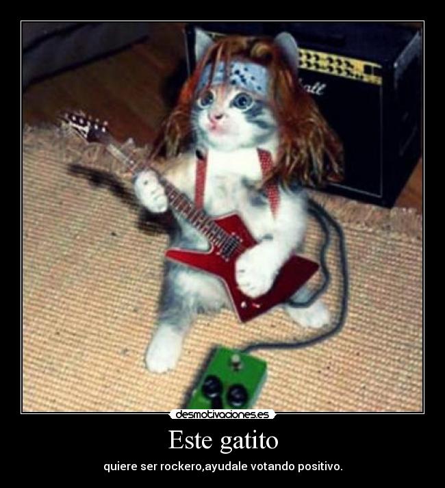 Este gatito -