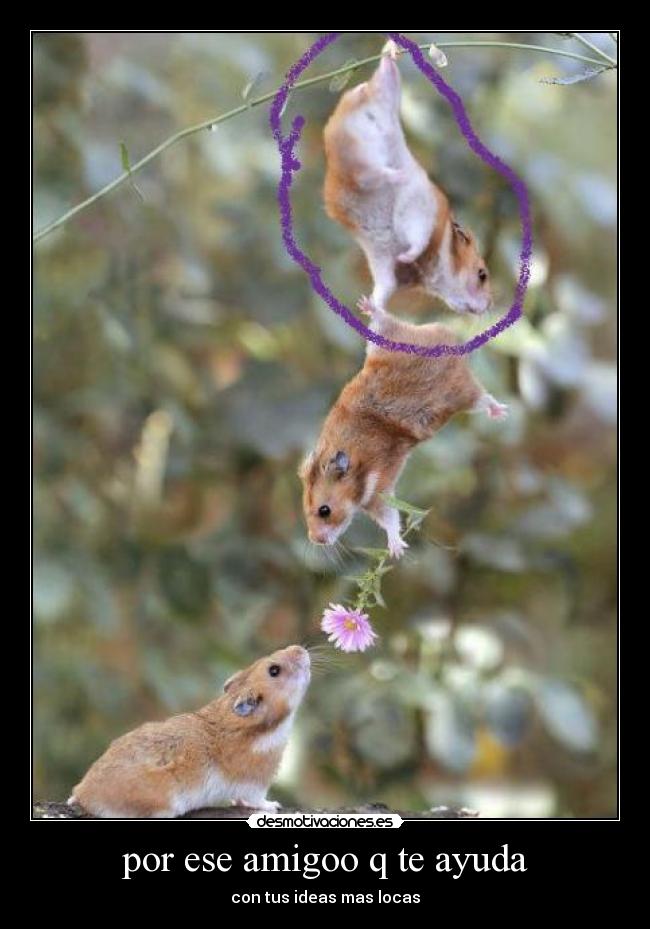 carteles ayuda mmm desmotivaciones