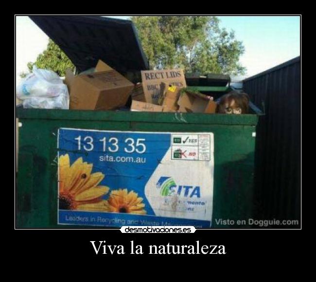 carteles naturaleza dsf desmotivaciones