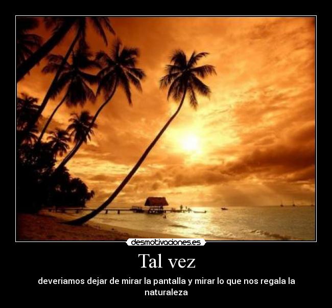 Tal vez -