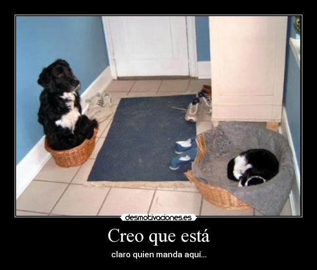 Creo que está - claro quien manda aquí...