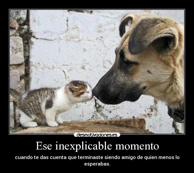 Ese inexplicable momento - cuando te das cuenta que terminaste siendo amigo de quien menos lo esperabas.