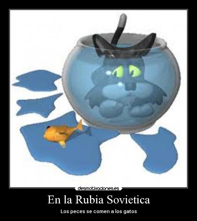 En la Rubia Sovietica - Los peces se comen a los gatos