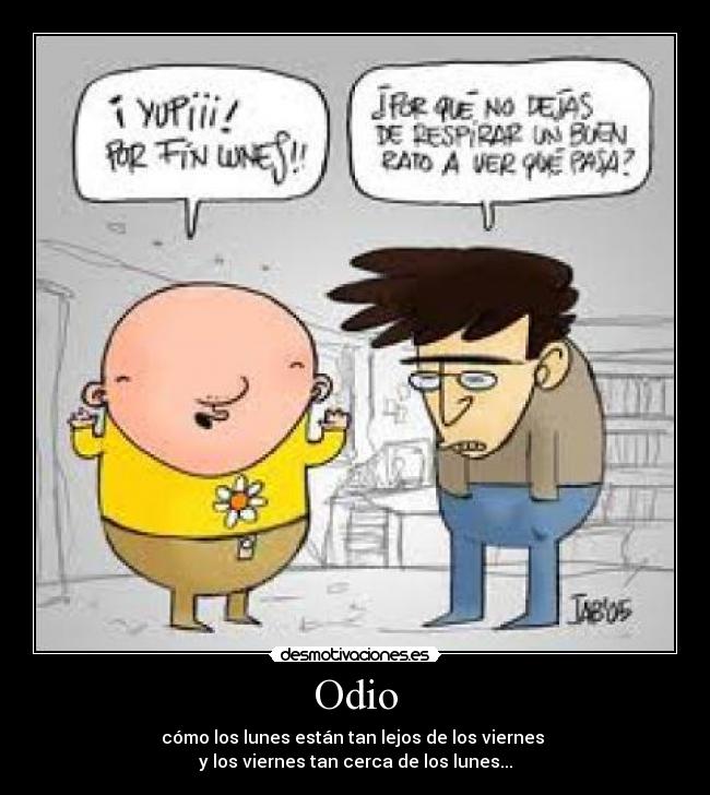 Odio - 