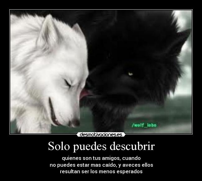 Solo puedes descubrir - quienes son tus amigos, cuando
no puedes estar mas caído, y aveces ellos
resultan ser los menos esperados