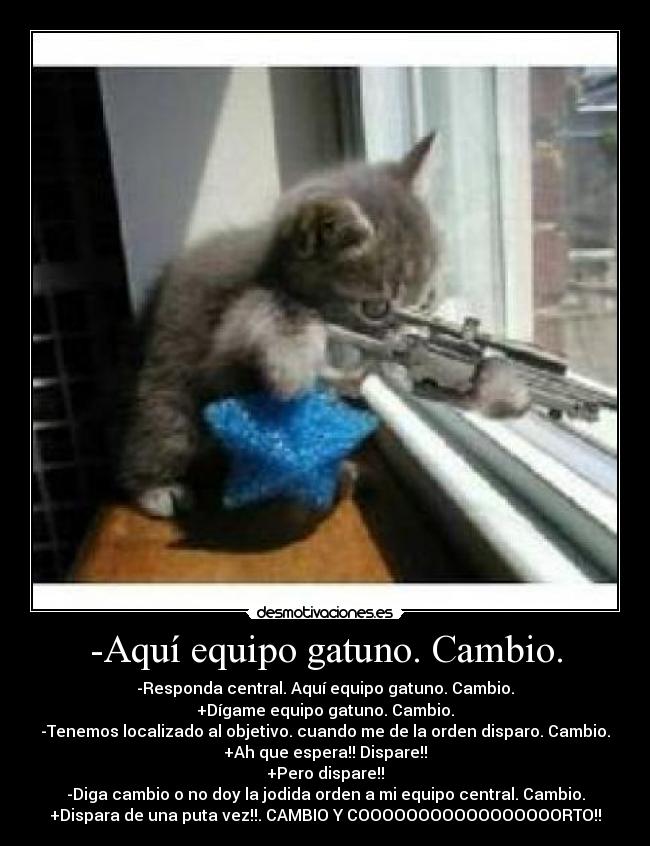 -Aquí equipo gatuno. Cambio. -
