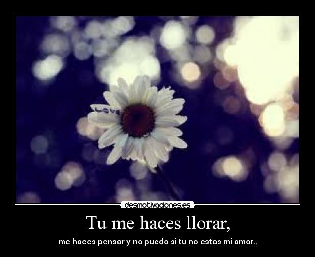 Tu me haces llorar, - me haces pensar y no puedo si tu no estas mi amor..