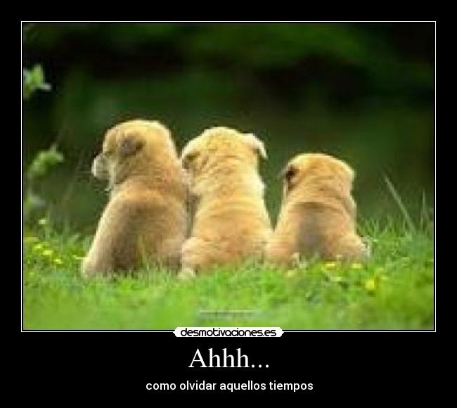 Ahhh... - como olvidar aquellos tiempos