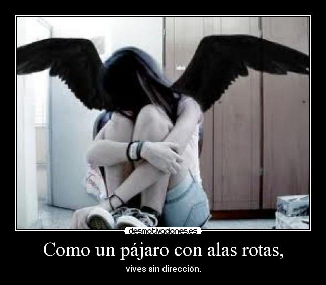 Como un pájaro con alas rotas, -