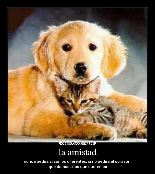 la amistad - nunca pedira si somos diferentes, si no pedira el corazon
que damos a los que queremos