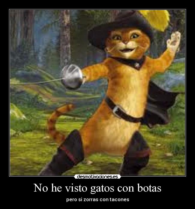 No he visto gatos con botas -