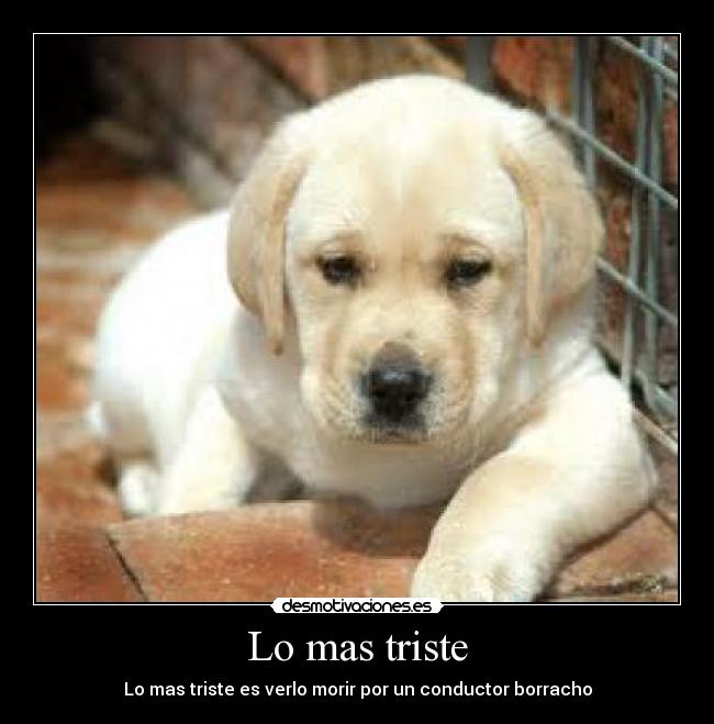 Lo mas triste -