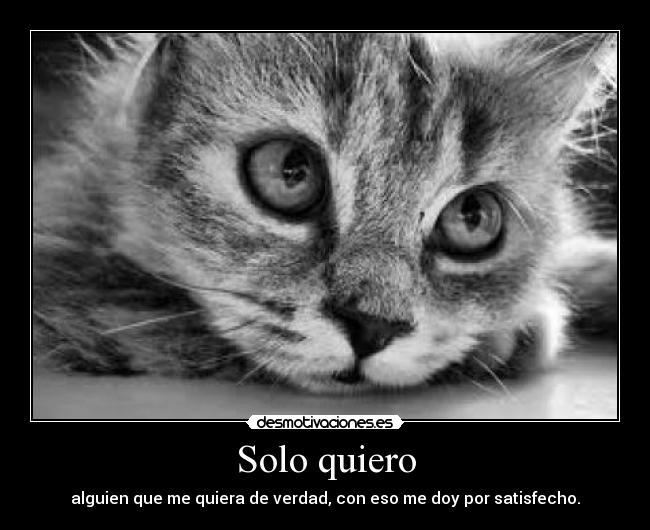 Solo quiero -