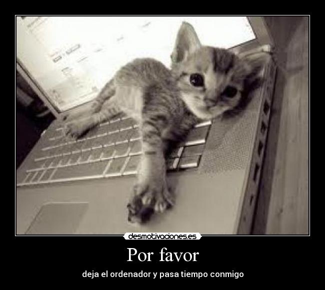 Por favor - 