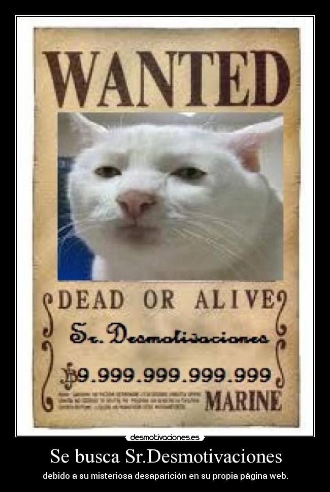 Se busca Sr.Desmotivaciones -