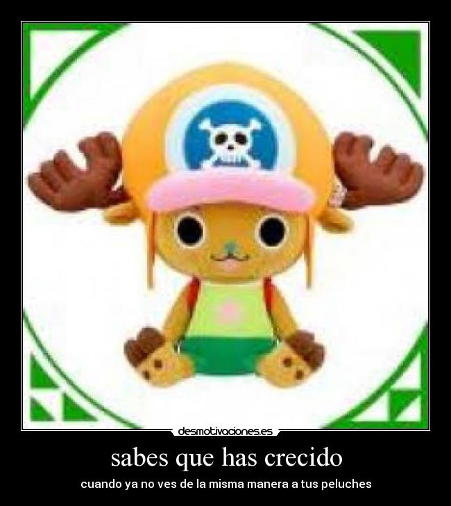 sabes que has crecido - cuando ya no ves de la misma manera a tus peluches