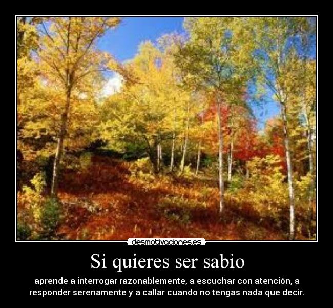 Si quieres ser sabio - aprende a interrogar razonablemente, a escuchar con atención, a
responder serenamente y a callar cuando no tengas nada que decir.