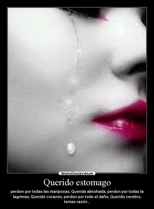 Querido estomago - perdon por todas las mariposas; Querida almohada, perdon por todas la
lagrimas; Querido corazon, perdon por todo el daño; Querido cerebro,
tenias razón...♥