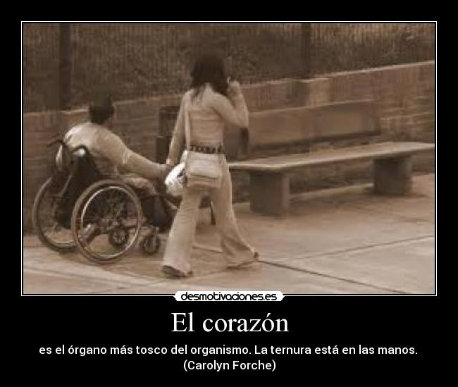 El corazón -
