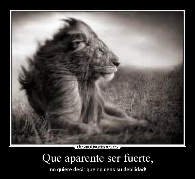 Que aparente ser fuerte, - no quiere decir que no seas su debilidad!