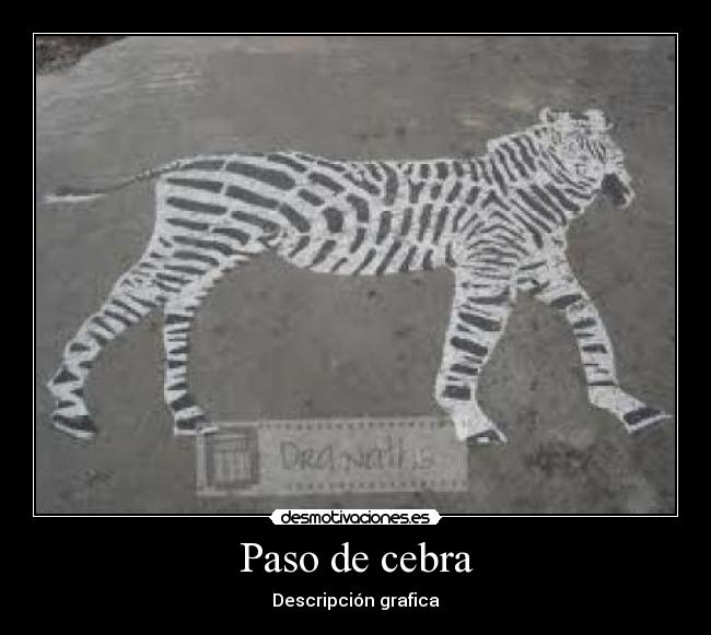 Paso de cebra -