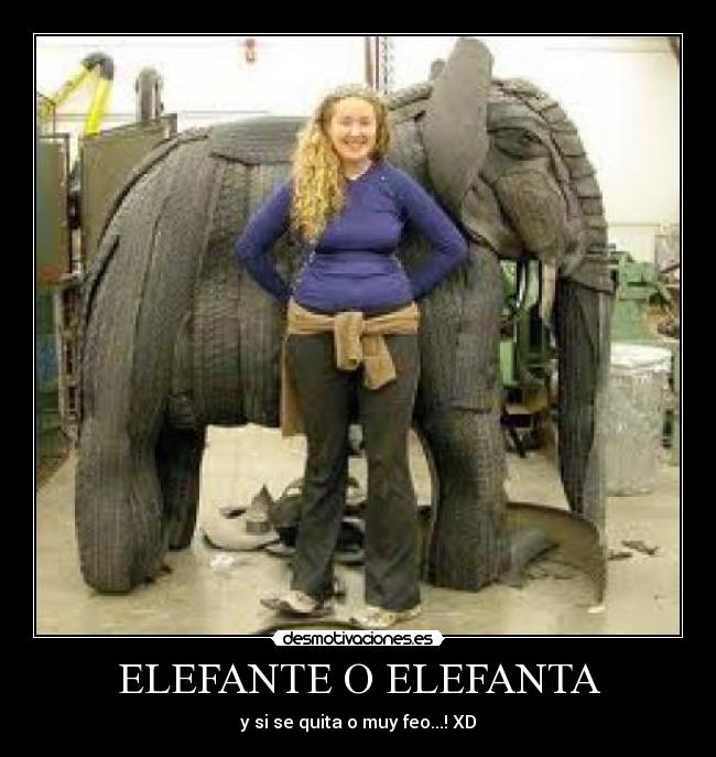 ELEFANTE O ELEFANTA - y si se quita o muy feo...! XD