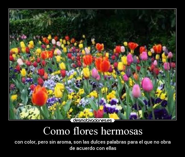 Como flores hermosas - con color, pero sin aroma, son las dulces palabras para el que no obra
de acuerdo con ellas