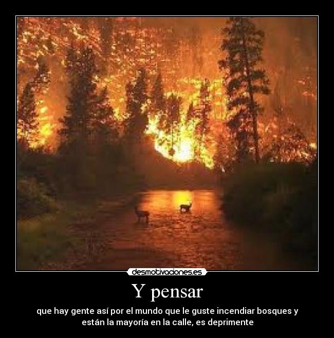 Y pensar - que hay gente así por el mundo que le guste incendiar bosques y
están la mayoría en la calle, es deprimente