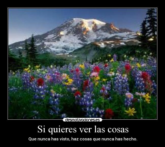 carteles paula2000 desmotivaciones