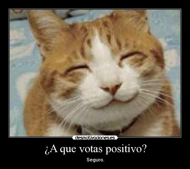 ¿A que votas positivo? -