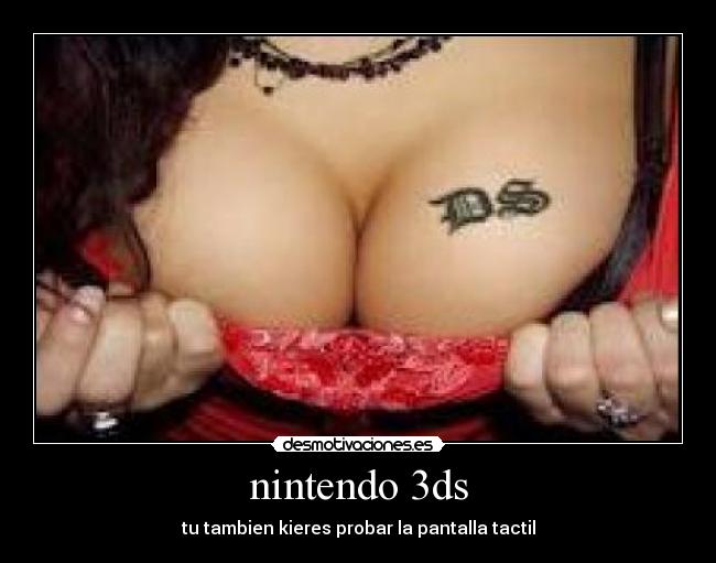 nintendo 3ds -