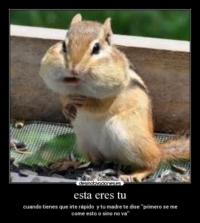 carteles paula villanueva torres desmotivaciones