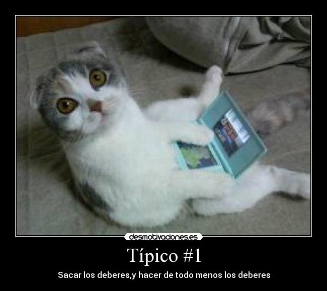 Típico #1 - Sacar los deberes,y hacer de todo menos los deberes