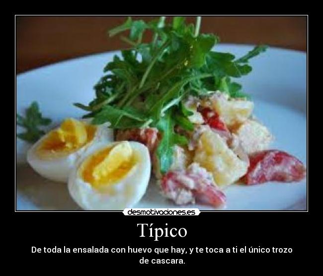 Típico - De toda la ensalada con huevo que hay, y te toca a ti el único trozo de cascara.