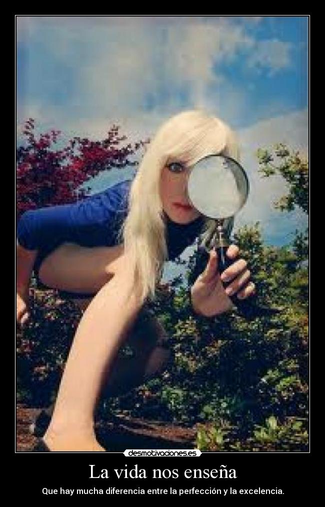 La vida nos enseña - Que hay mucha diferencia entre la perfección y la excelencia.