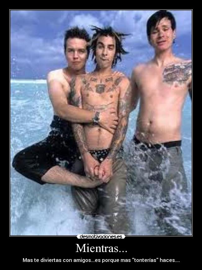 Mientras... - Mas te diviertas con amigos...es porque mas tonterías haces....