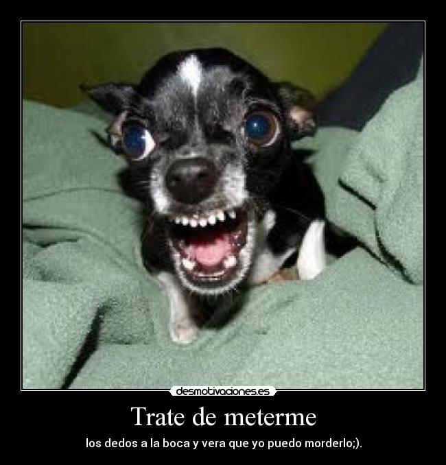 Trate de meterme - los dedos a la boca y vera que yo puedo morderlo;).