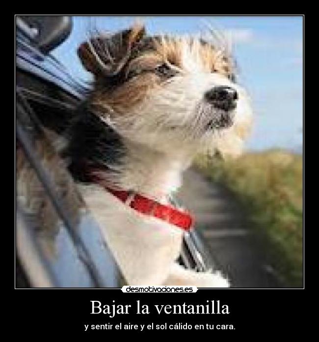 Bajar la ventanilla - 