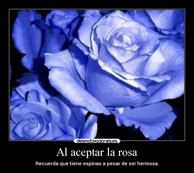 carteles kroline desmotivaciones