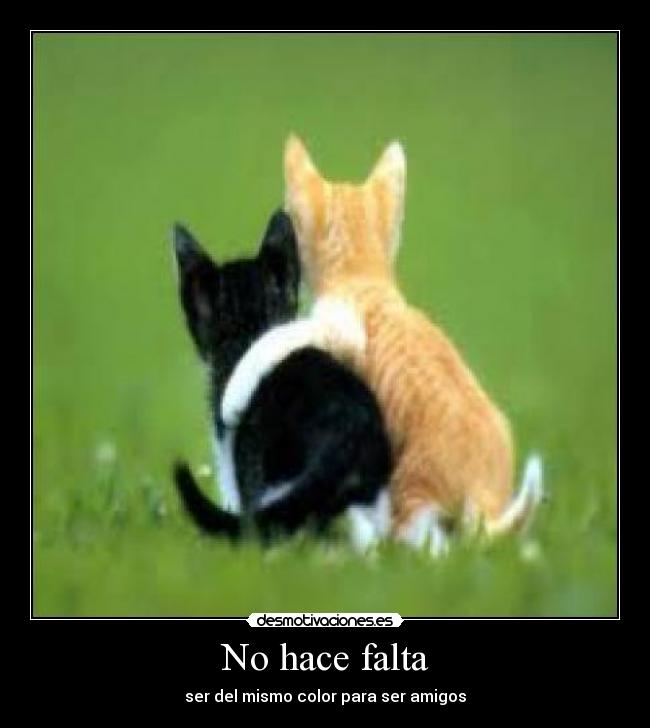 carteles viciadoalcs desmotivaciones