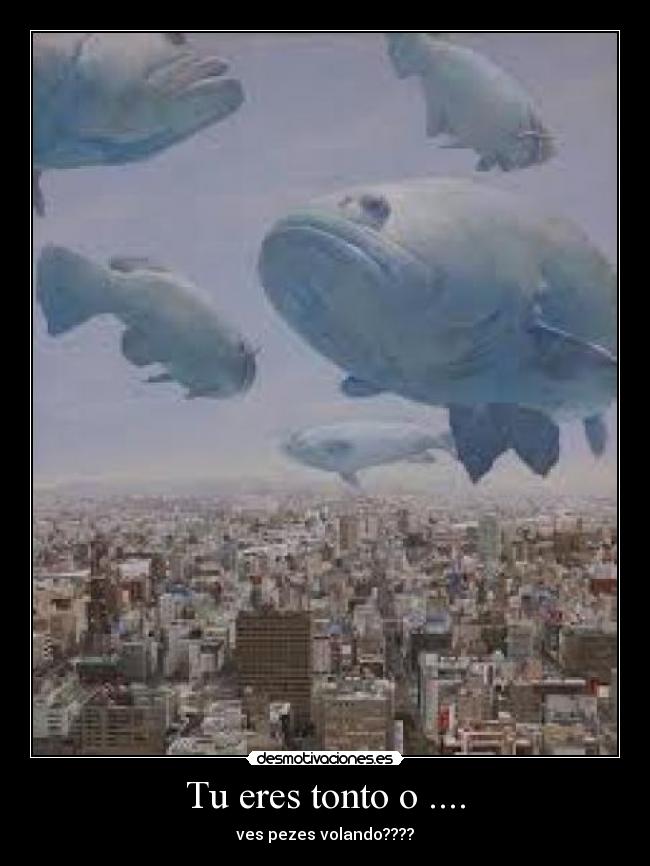 Tu eres tonto o .... -