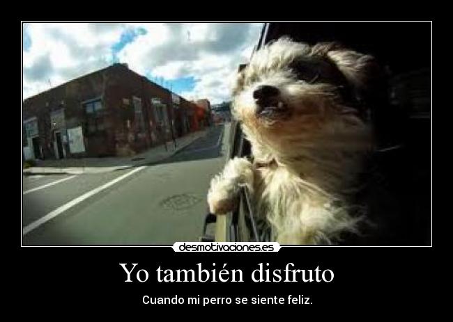 Yo también disfruto -