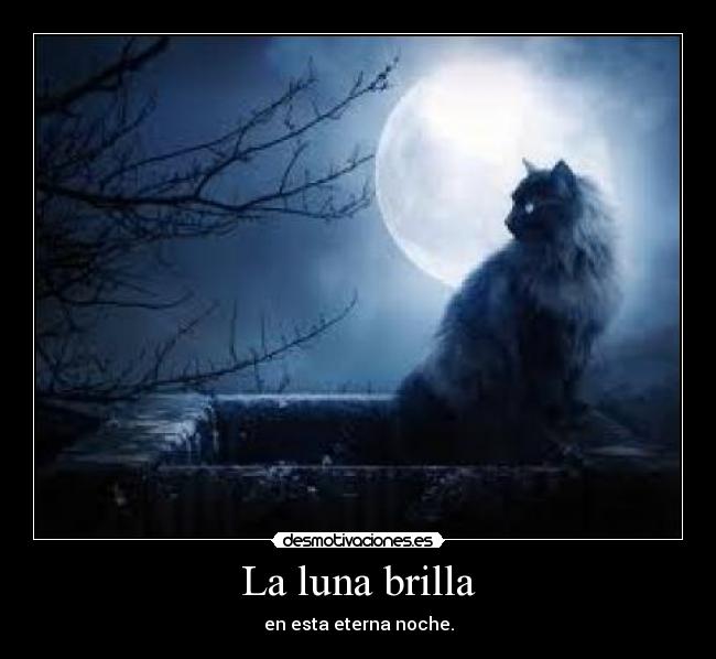 La luna brilla -