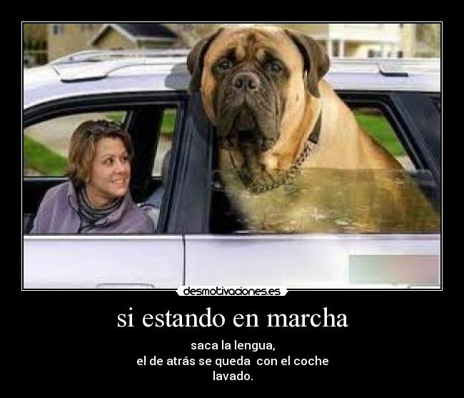 si estando en marcha - saca la lengua,
el de atrás se queda con el coche
lavado.