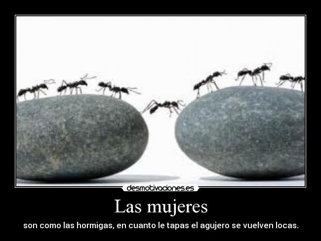 Las mujeres -