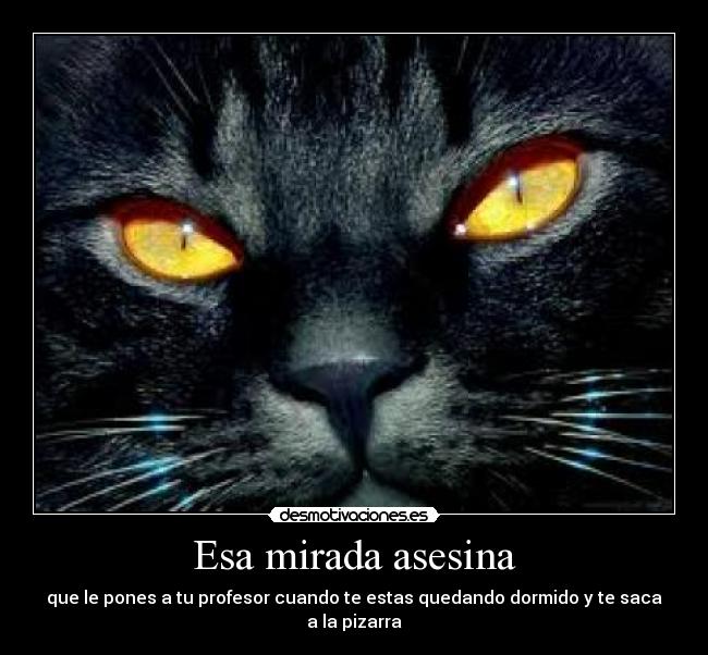 Esa mirada asesina -