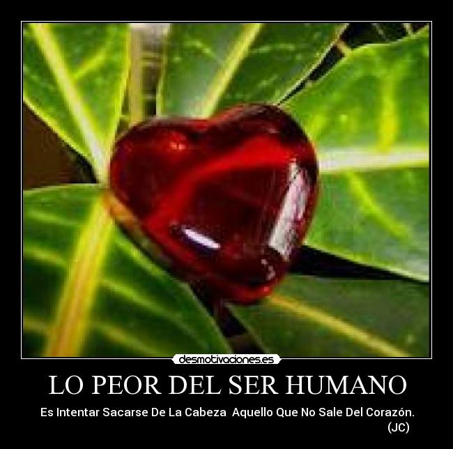 LO PEOR DEL SER HUMANO - Es Intentar Sacarse De La Cabeza  Aquello Que No Sale Del Corazón.
                                                                                                                           (JC)