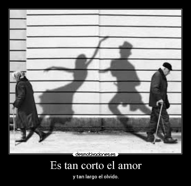 Es tan corto el amor - y tan largo el olvido.